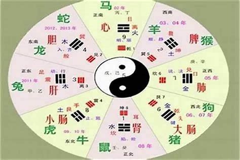 畯五行|铫字的五行属性